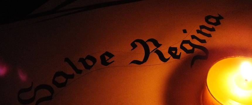 Quelle: Roswitha Graf, Julian Beck